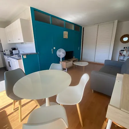 Апартаменты T2 Avec Terrasse Sud, Acces Et Parking Securise A - Fr-1-374-85